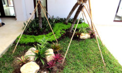 Detalles en jardines