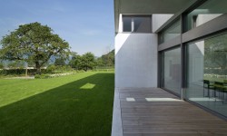 Etiam commodo convallis